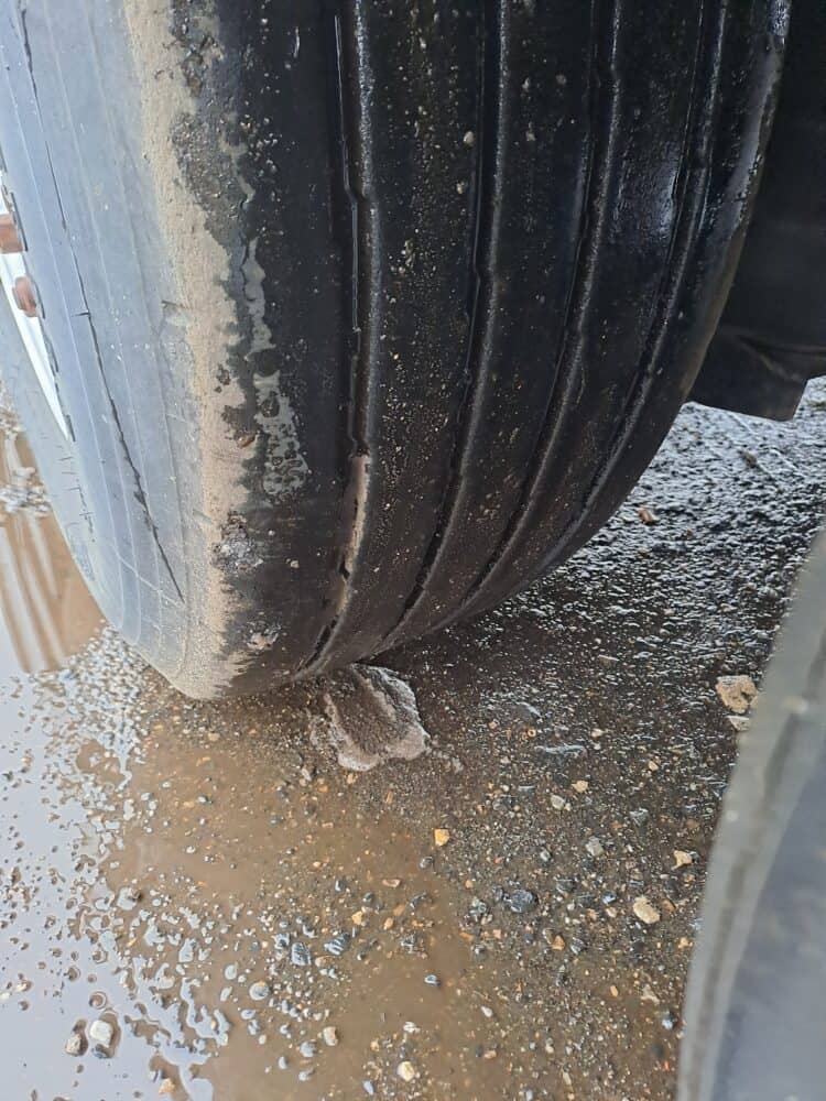 Benalu C39 AGRILINER 88 10